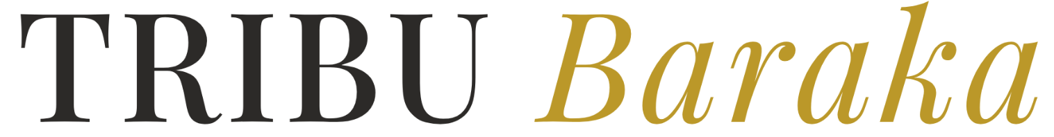 TRIBU Baraka Logo 3